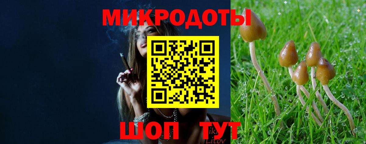 МЕФ   МДМА  Кокаин  Кокаин  Вход с VPN  LSD-25  Гашиш  Новозыбков  Каннабис 