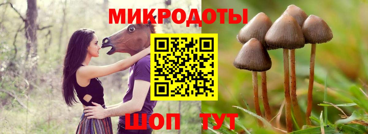 Новозыбков  наркотики  Вход с VPN  Галлюциногенные грибы Magic Shrooms 